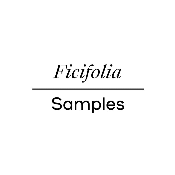 Ficifolia Samples*